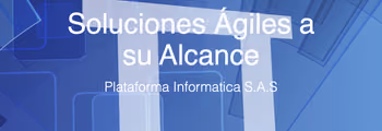 Vista del proyecto Plataforma Informática